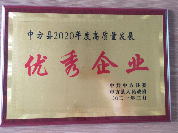 2020年度高質(zhì)量發(fā)展優(yōu) 秀企業(yè)